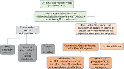 Angiogenesis Pathway in Kidney Renal Clear Cell Carcinoma and Its Prognostic Value for Cancer Risk Prediction